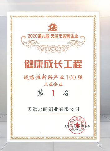 2020第九届天津市民营企业“战略性新兴产业100强第1名”